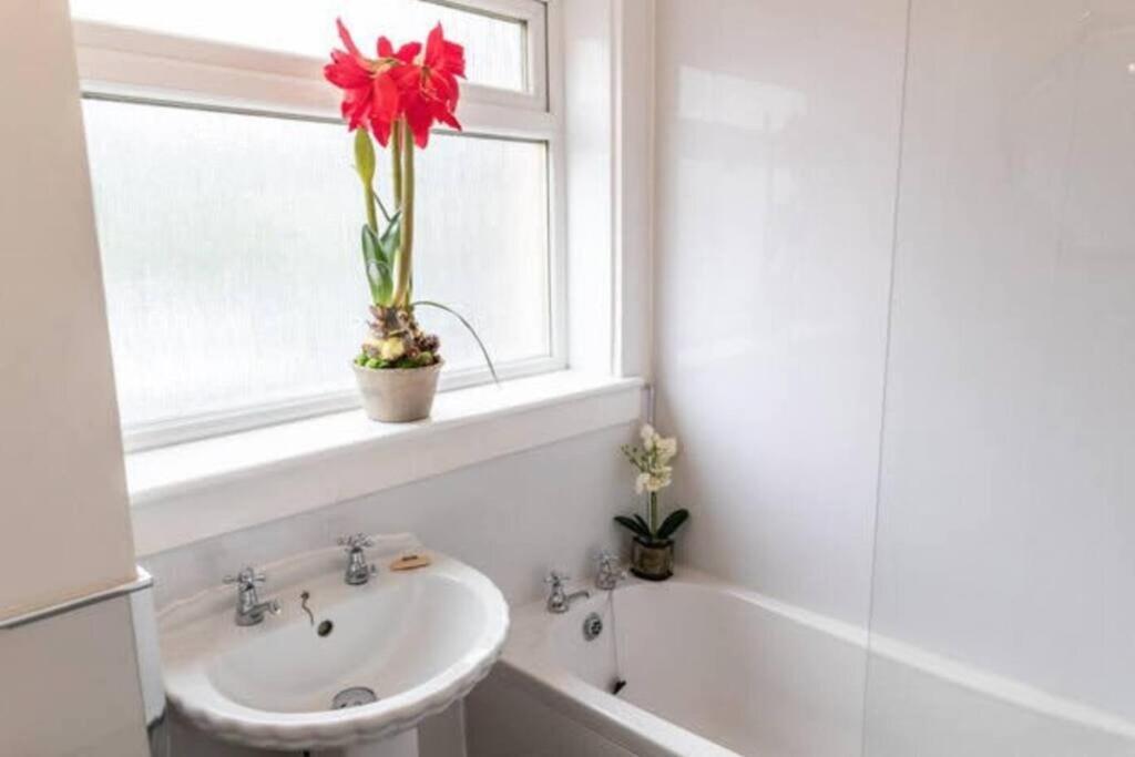 Апартаменты Cosy 1 Bed With Parking In City Centre Глазго Экстерьер фото